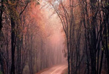 NG28官网:韩国vs约旦:孙兴慜领衔,李在城、黄喜灿、黄仁范首发.