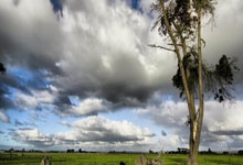 剑南春|皇马客场2-1逆转黄潜,姆巴佩6分钟2球,库尔图瓦屡救险.