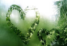 汇丰女子高球赛次日 金阿林继续领跑.