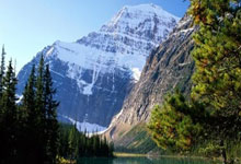 NG28官网：[天下足球]凯恩破门 拜仁主场完胜霍芬海姆.